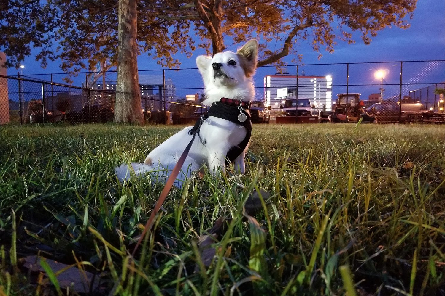galaxy note 8 camera sample tobu normal mode