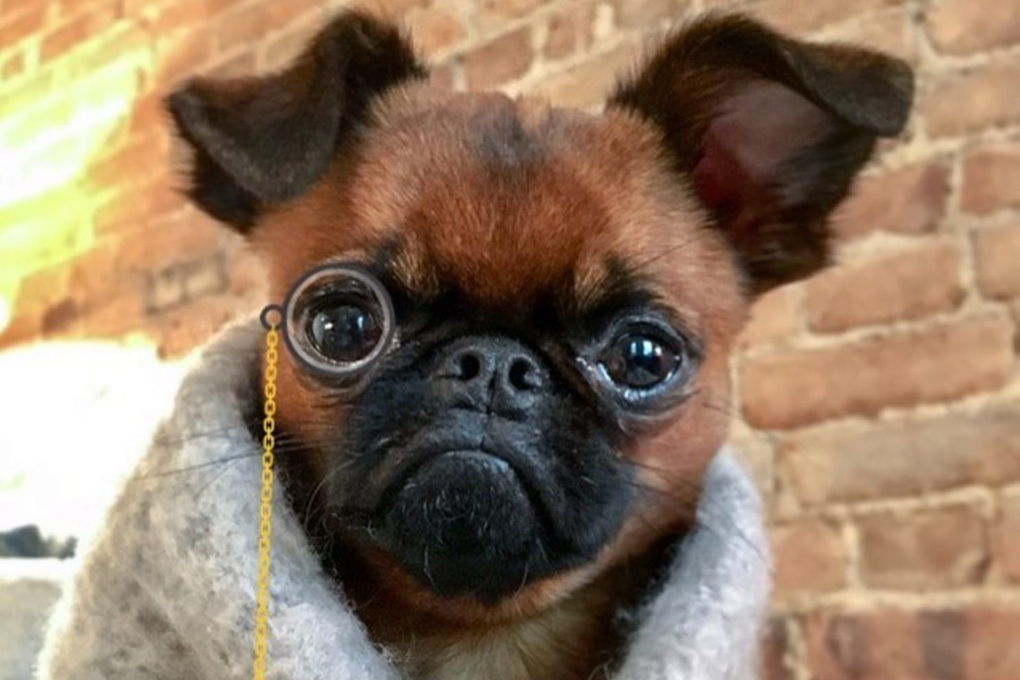 best instagram accounts sprout 2