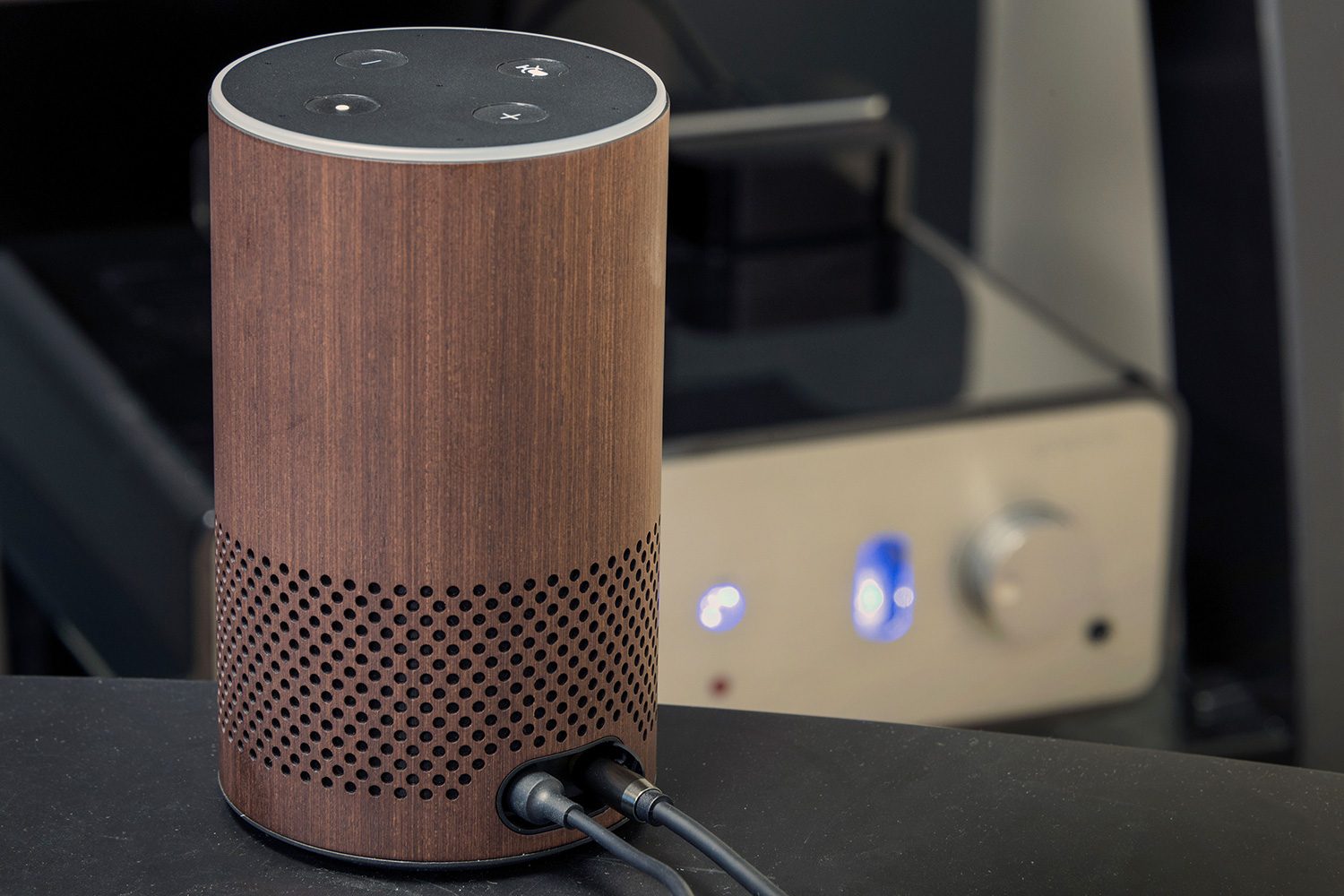 Amazon Echo 2017 review output