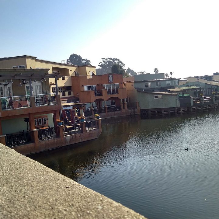 lenovo moto g5s plus review camera sample 4