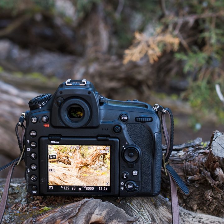 Nikon D850
