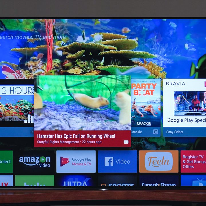 Sony A1E OLED TV Review XBR55A1E XBR65A1E XBR77A1E