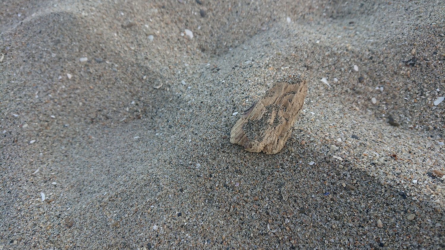 sony xperia xz1 review camera sample 2