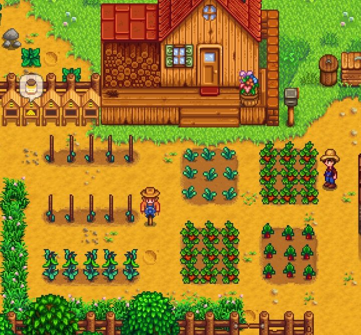 Stardew Valley.