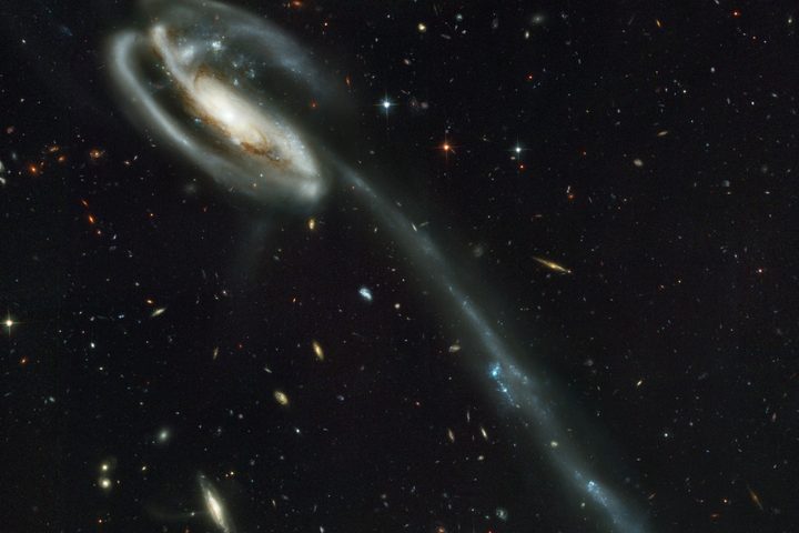 Against a stunning backdrop of thousands of galaxies, this odd-looking galaxy with the long streamer of stars appears to be racing through space, like a runaway pinwheel firework.