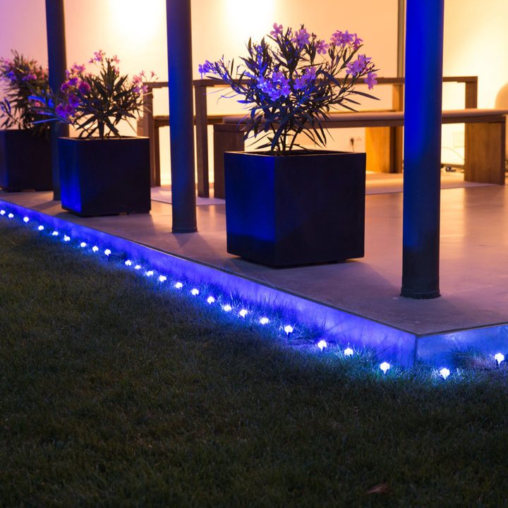 Spooky halloween effects light a garden blue.