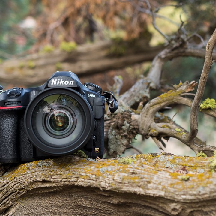 nikon d850 review 19