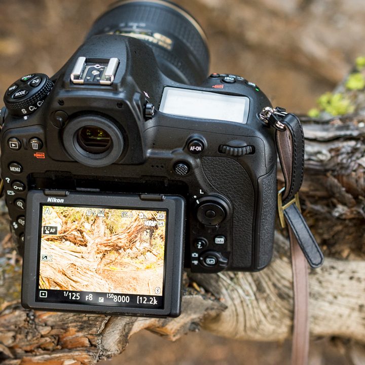 nikon d850 review 28