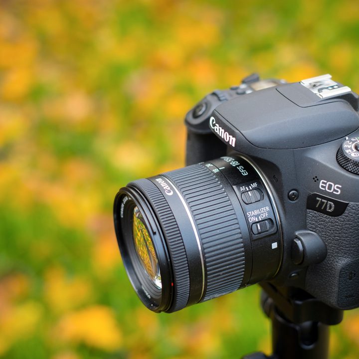 canon eos 77d review 201