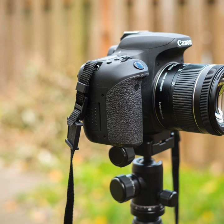 canon eos 77d review 202