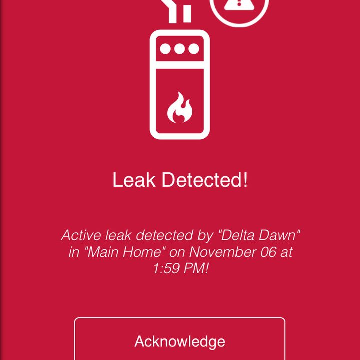delta wi fi leak detector review app 3