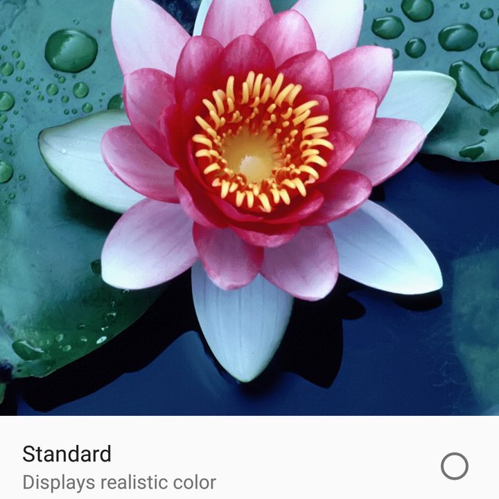 moto x4 tips and tricks display 2
