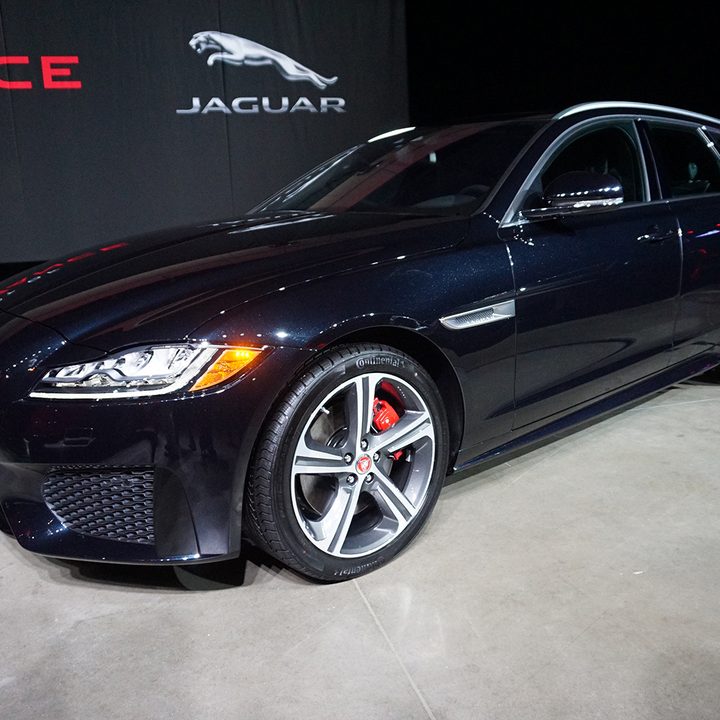Jaguar feature