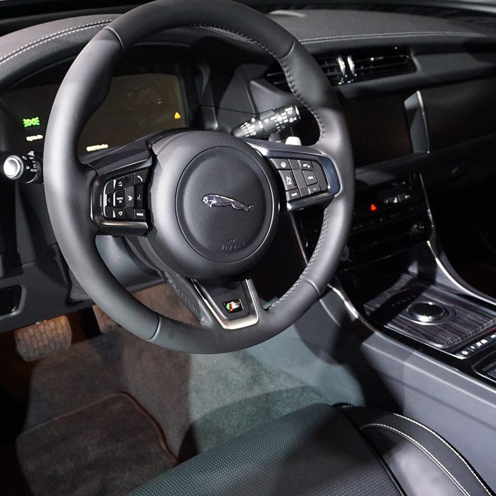 Jaguar feature