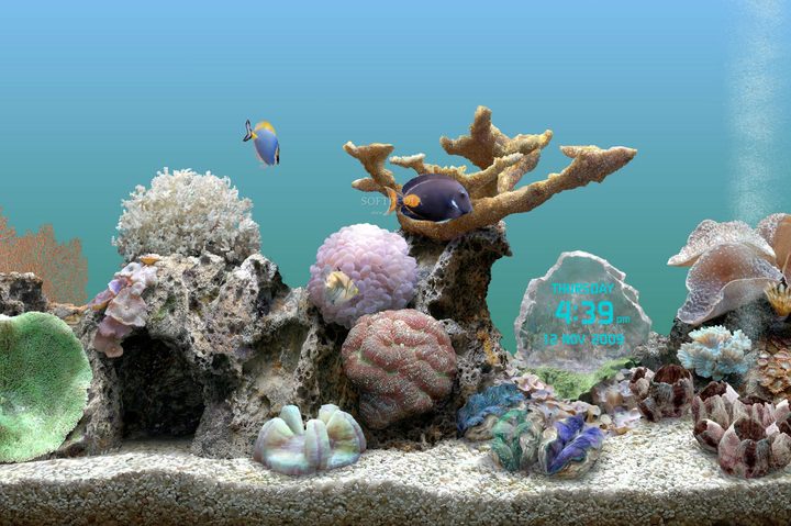 Living Marine Aquarium 2
