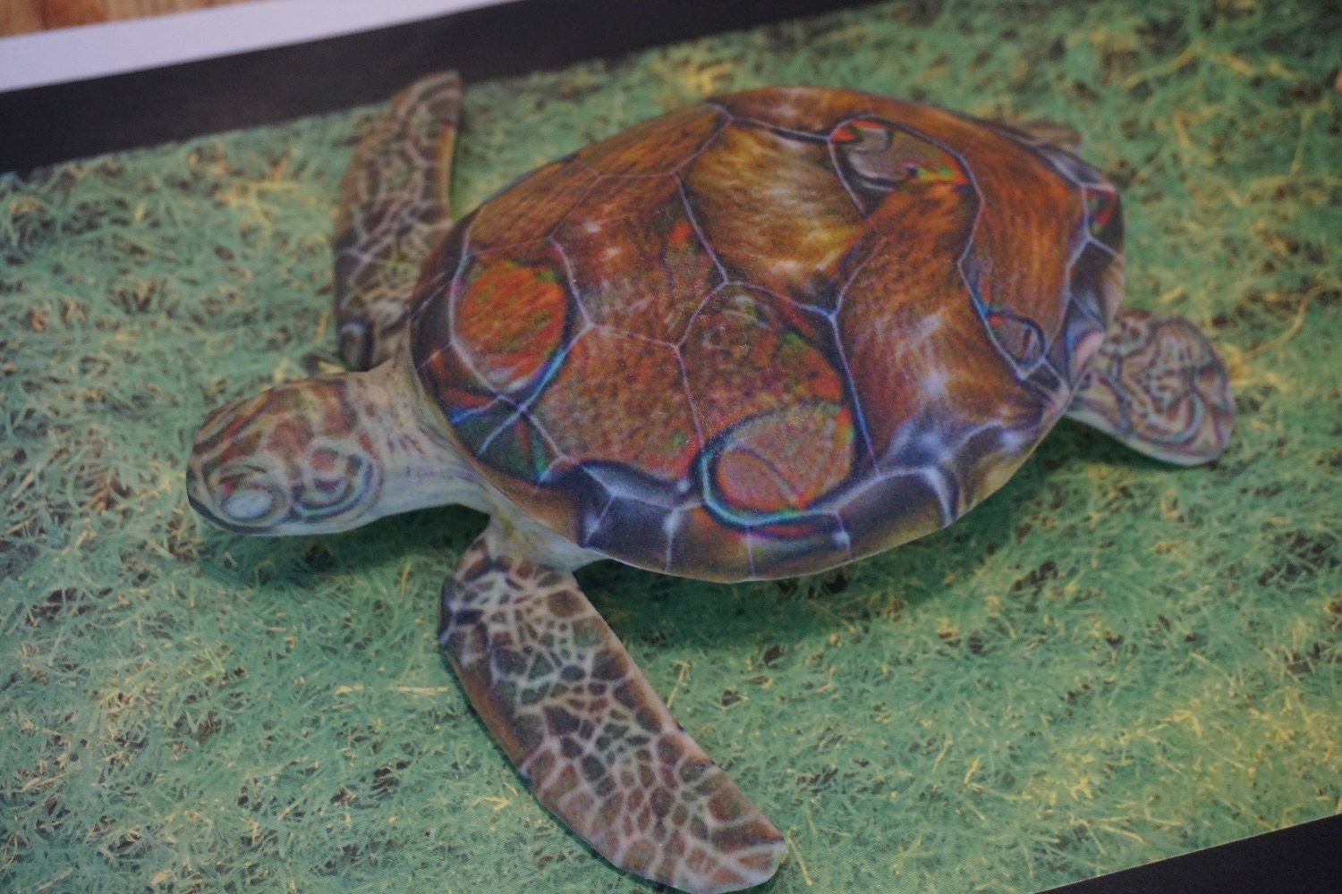image recognition turtle rifle 1