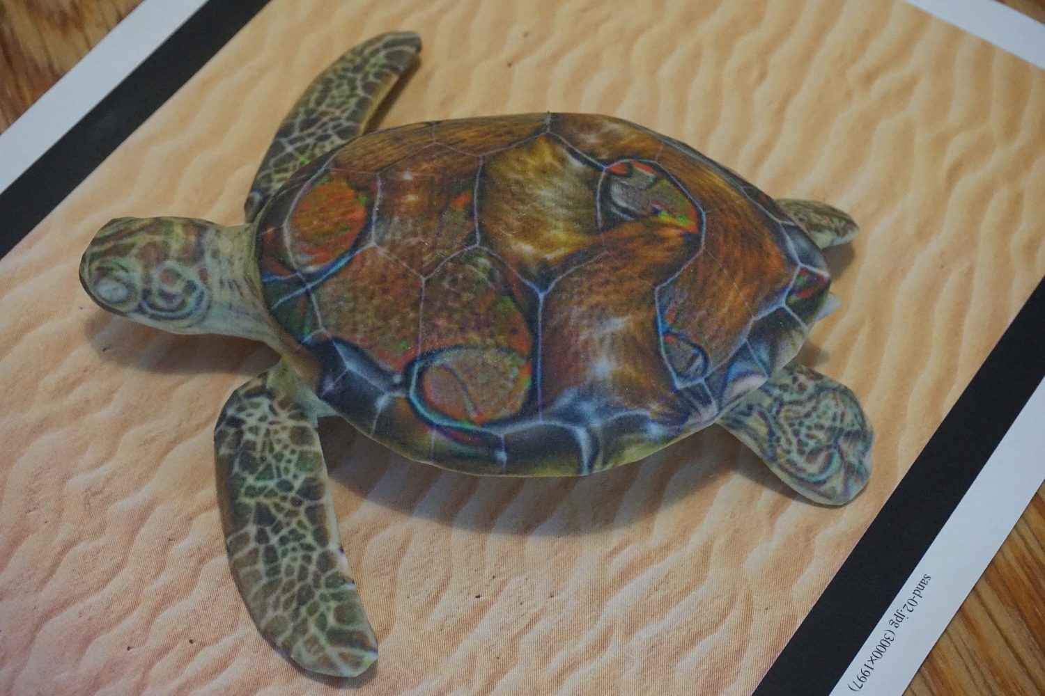 image recognition turtle rifle 2