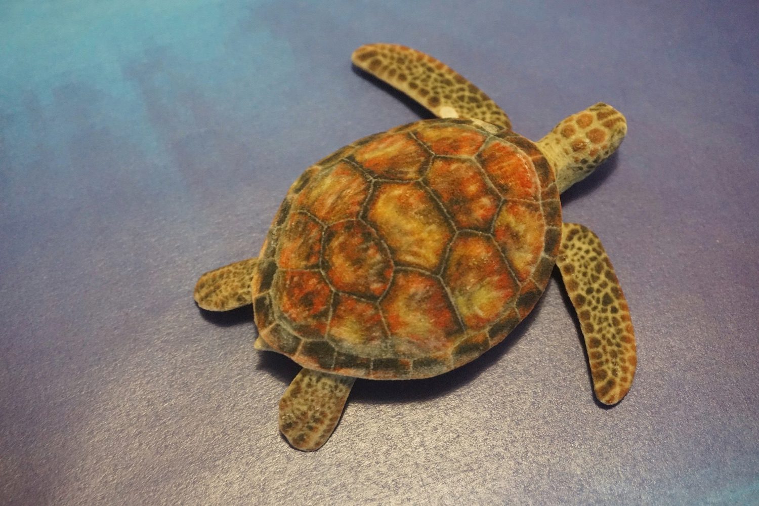 image recognition turtle rifle orig