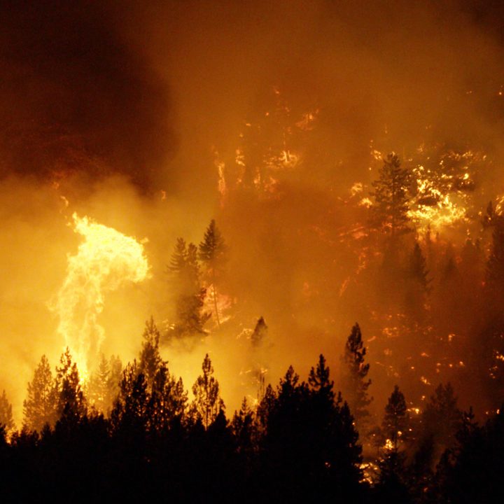 us forest service turns to vr in your forests future 372