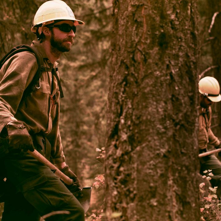 us forest service turns to vr in your forests future 375
