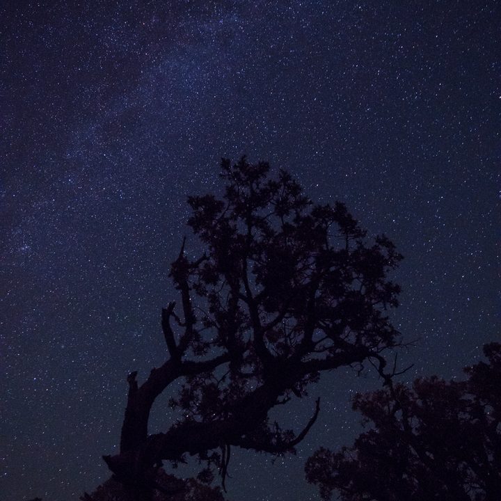 how to photograph the stars