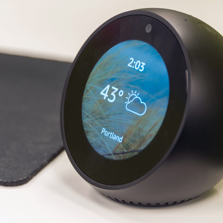 Amazon Echo Spot Review