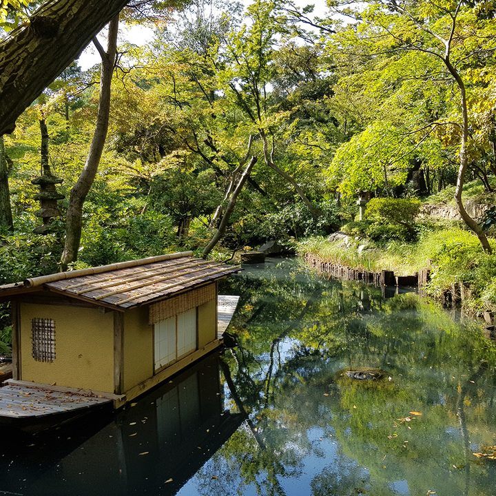 iPhone 8 Plus vs Note 8 camera showdown nezu note
