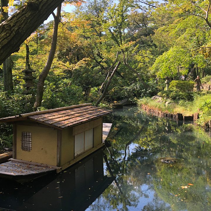 iPhone 8 Plus vs Note 8 camera showdown nezu iphone
