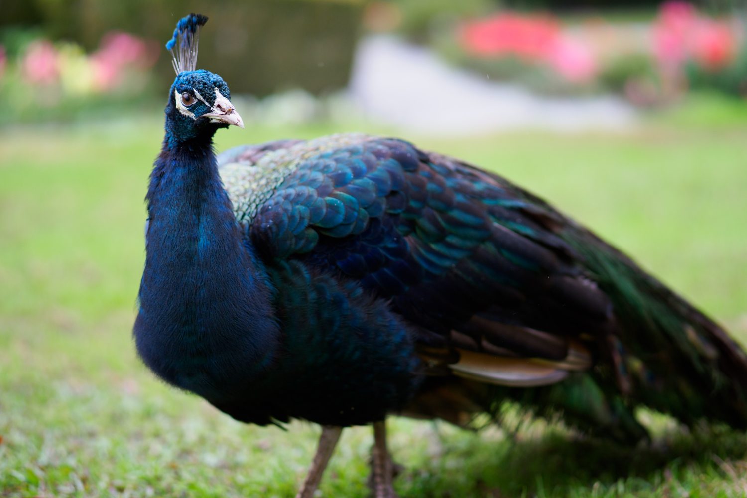 m zuiko f12 pro lenses show micro four thirds still has legs olympus digital camera