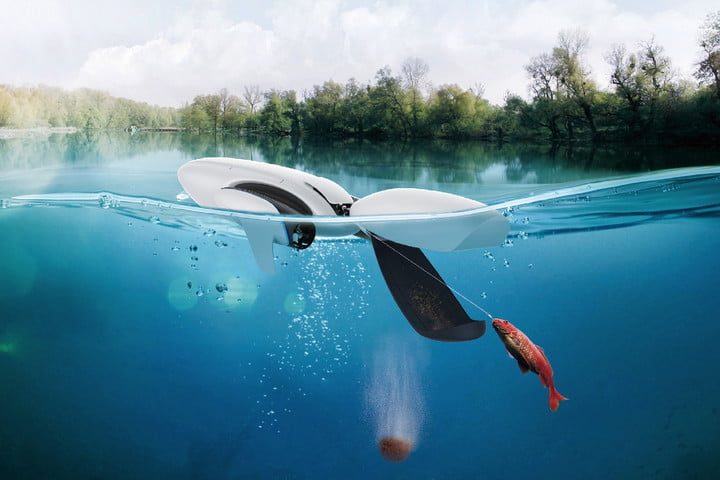 PowerDolphin