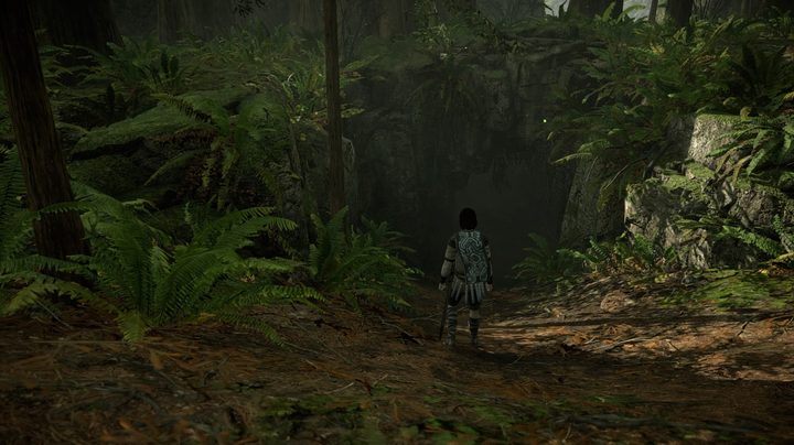 shadow of the colossus boon of the nomad last guardian easter egg exit