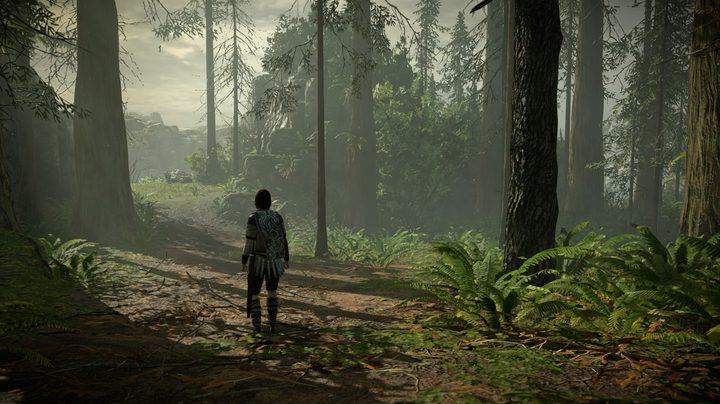 shadow of the colossus boon of the nomad last guardian easter egg exit