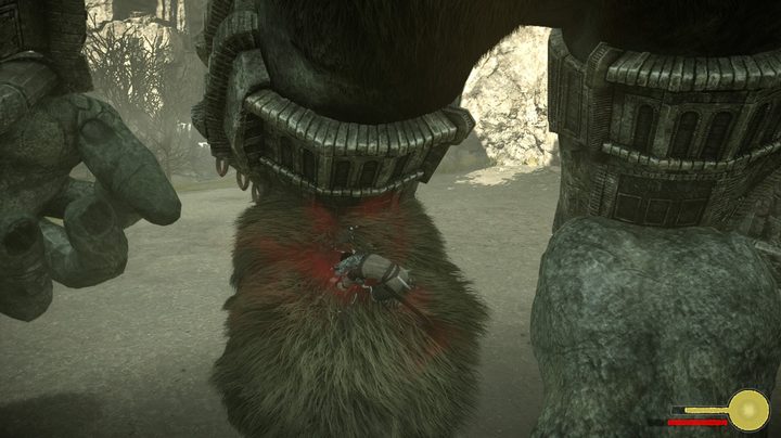 shadow of the colossus guide puzzle colossi