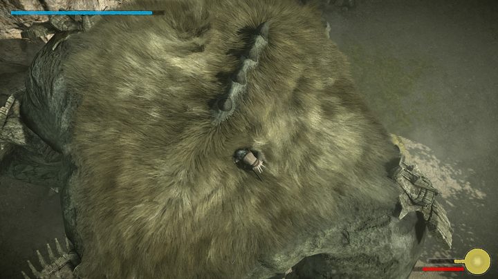 shadow of the colossus beginner's guide stamina recharge