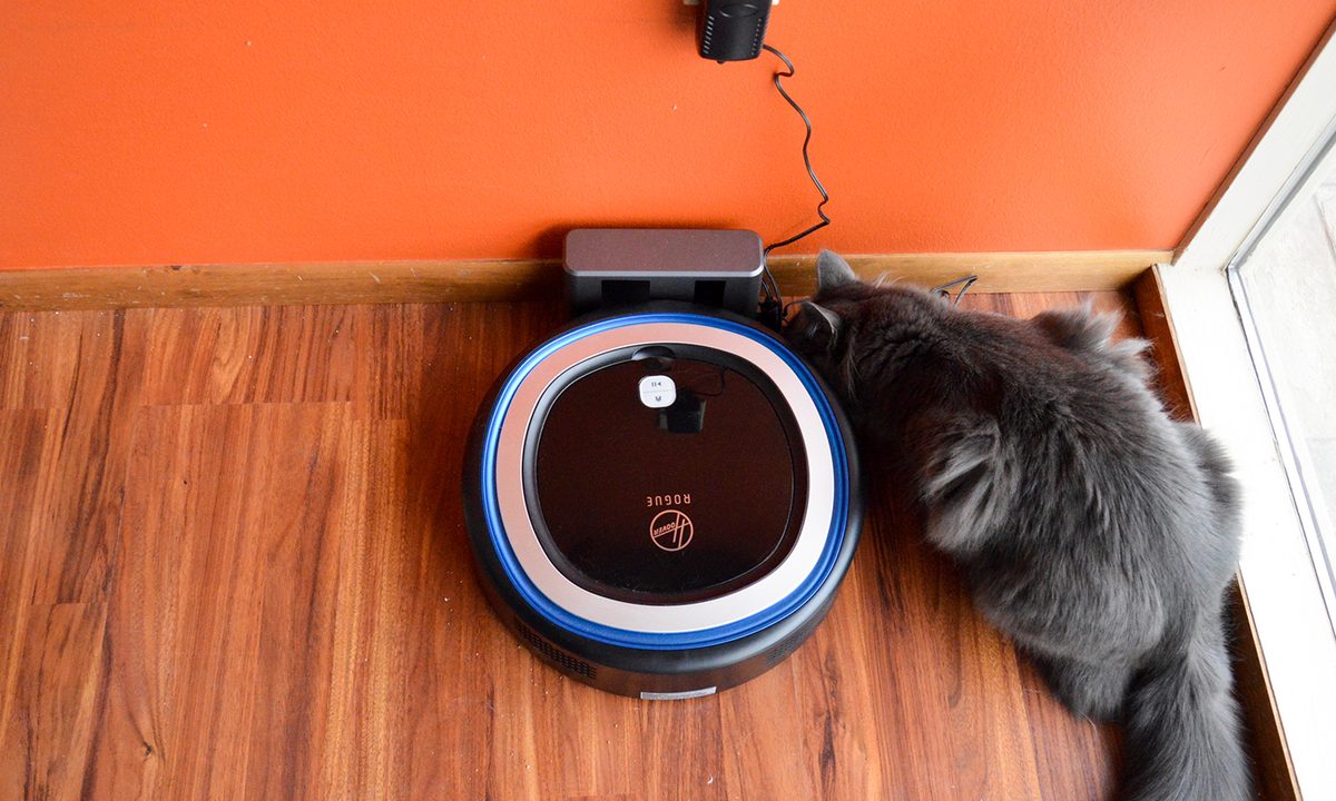 hoover roge 970 robot vacuum review rogue cat feat