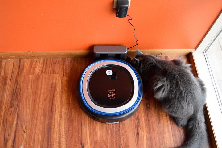 Hoover Rogue 970 robot vacuum review cat