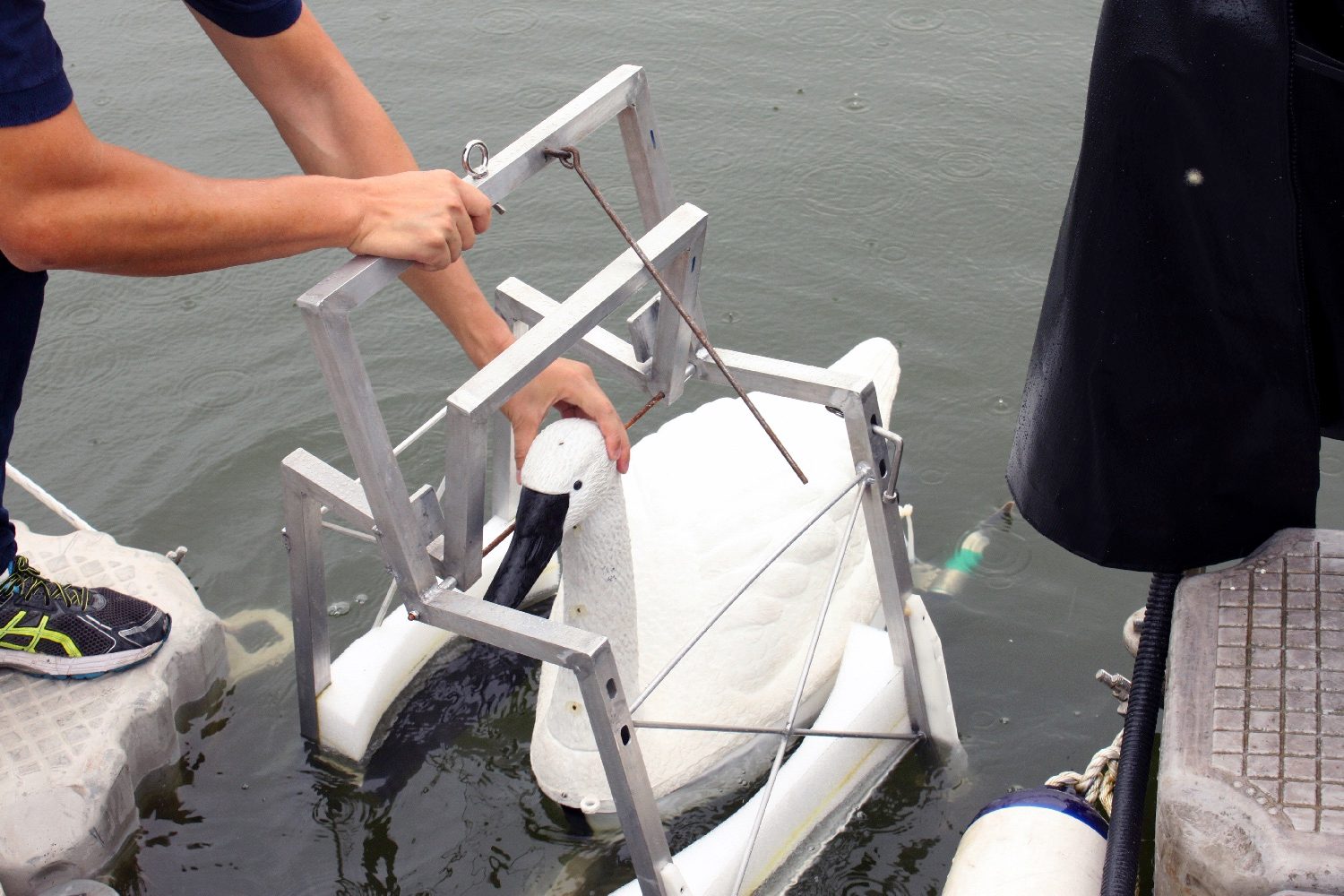 robot swan water quality img 9144