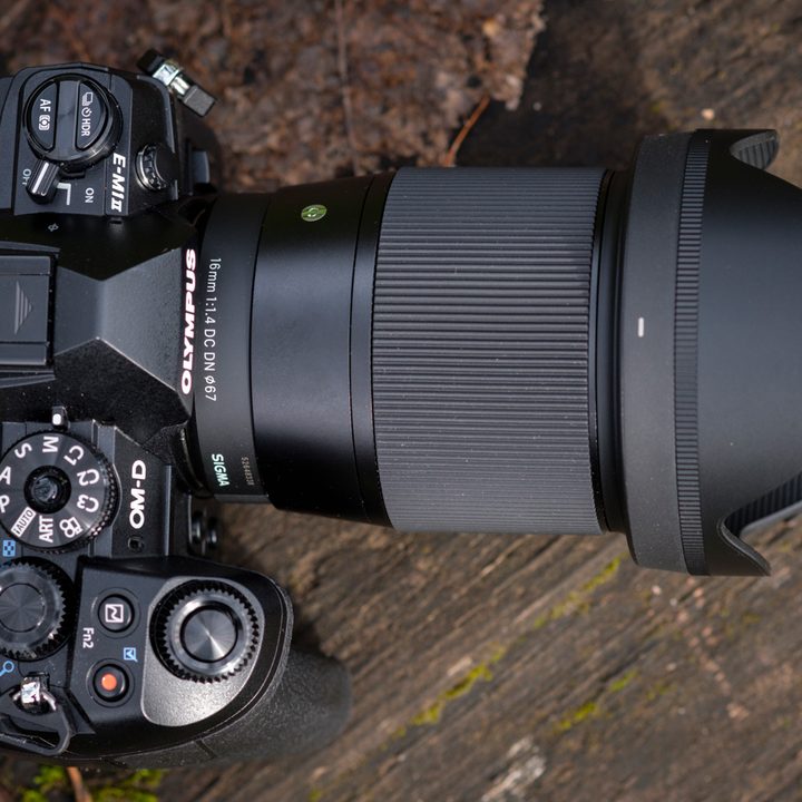 Sigma 16mm F1.4 Contemporary review