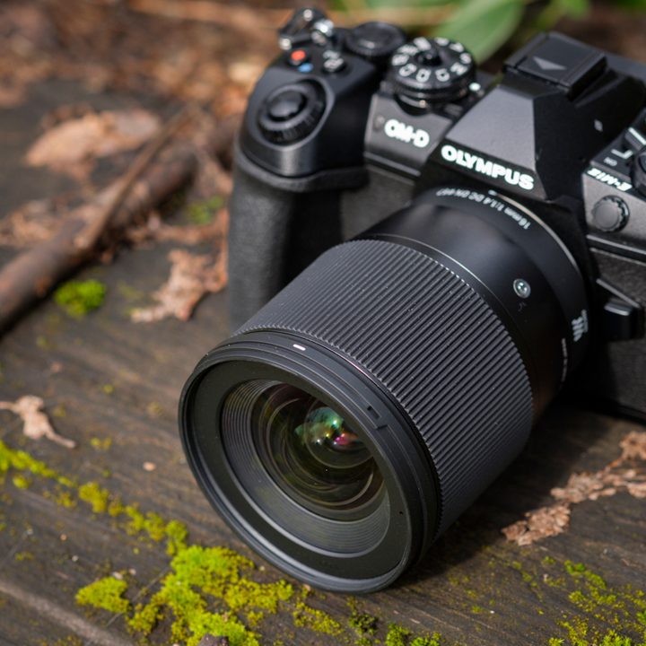 Sigma 16mm F1.4 Contemporary review
