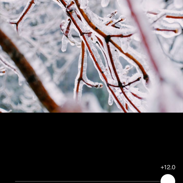 VSCO X Review
