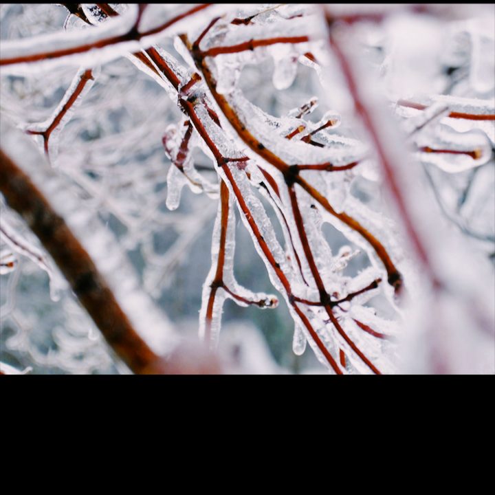 VSCO X Review