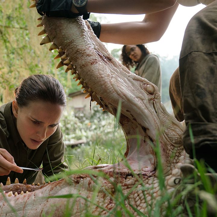 Annihilation review