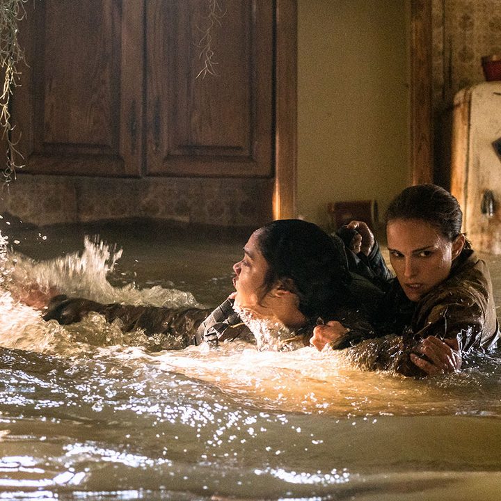 Annihilation review