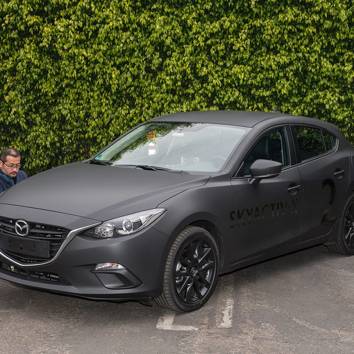 Mazda Skyactiv hedges