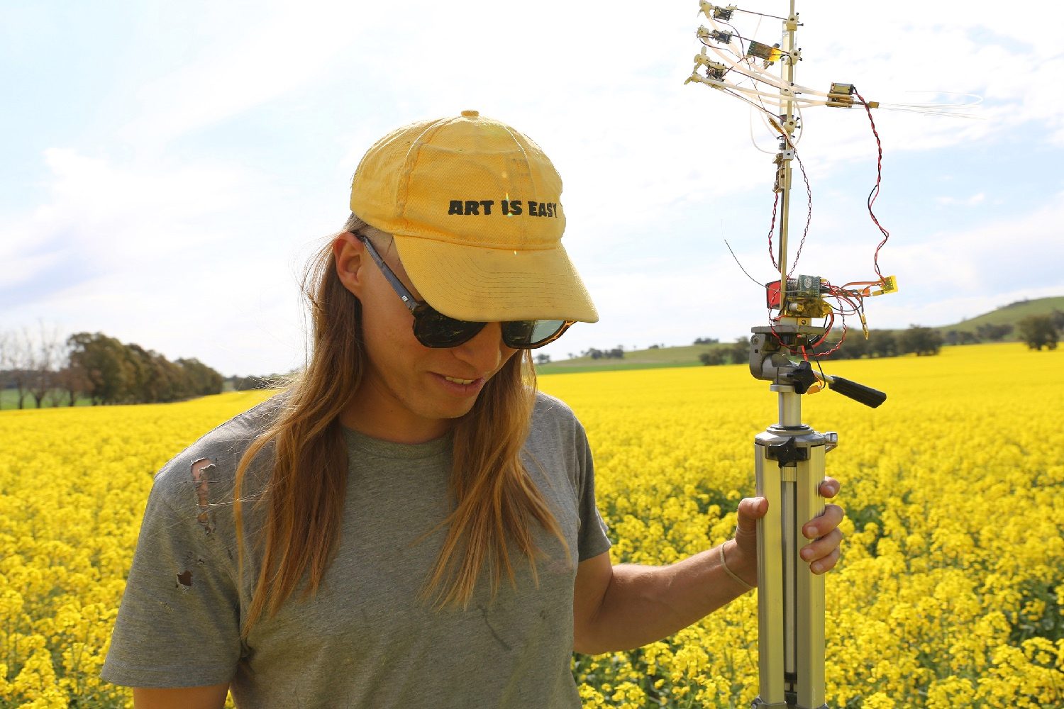 bee attracting robo flower michael candy field tests  image by sarah werkmeister