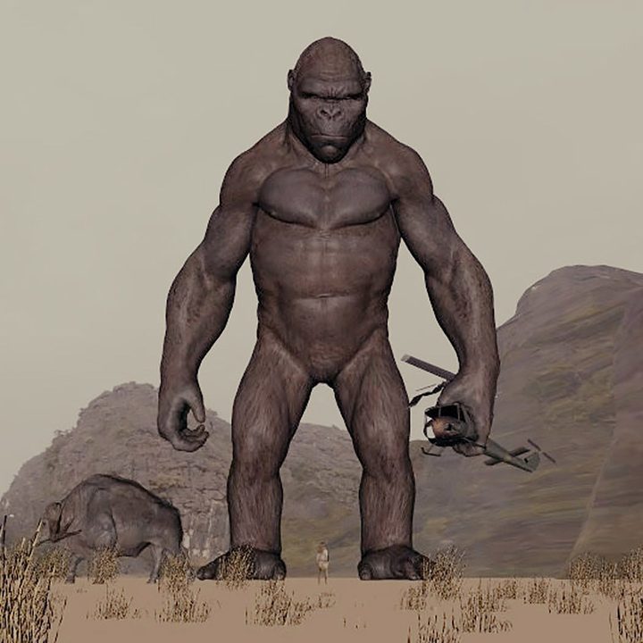 oscar effects kong skull island helicopter before