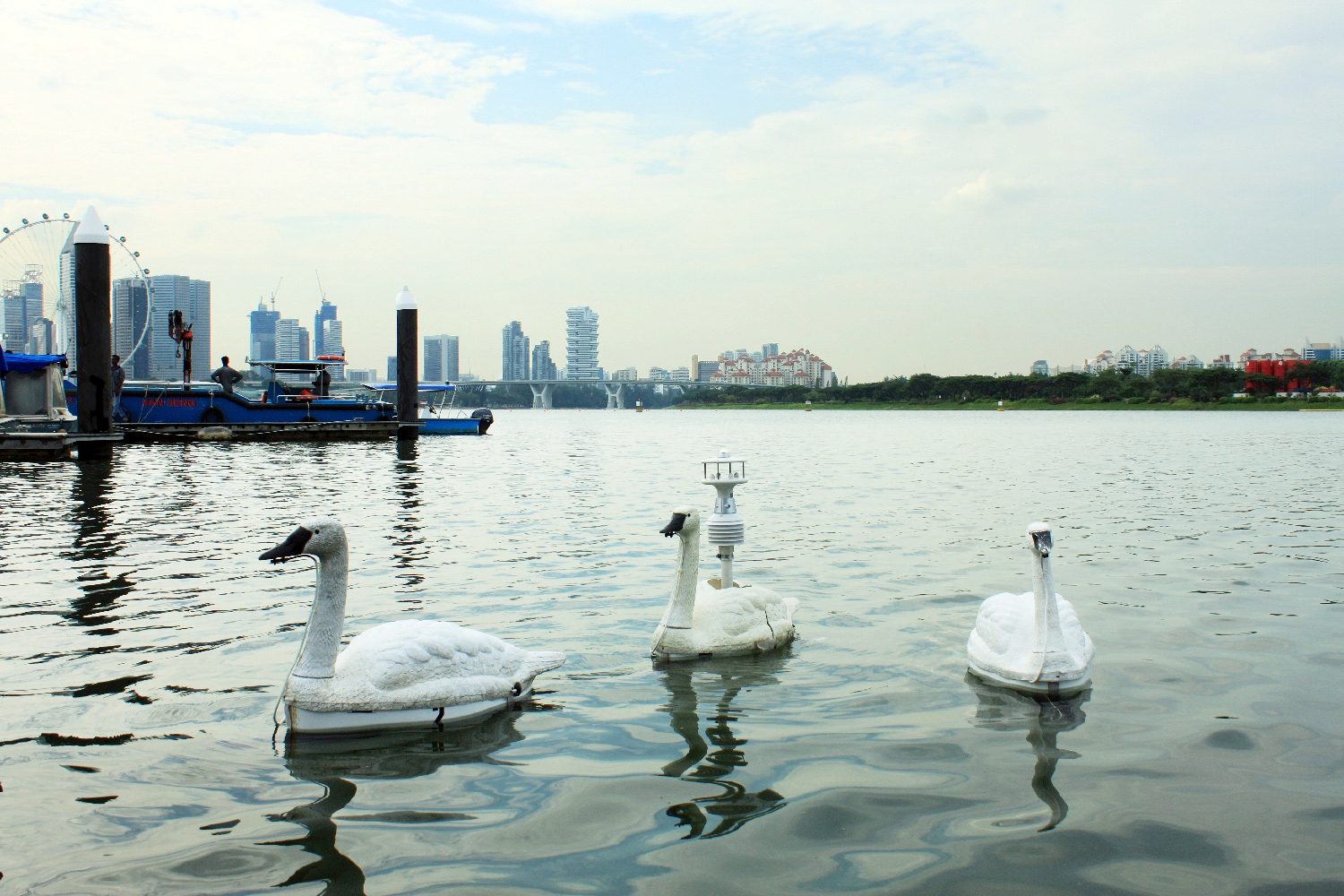 robot swan water quality