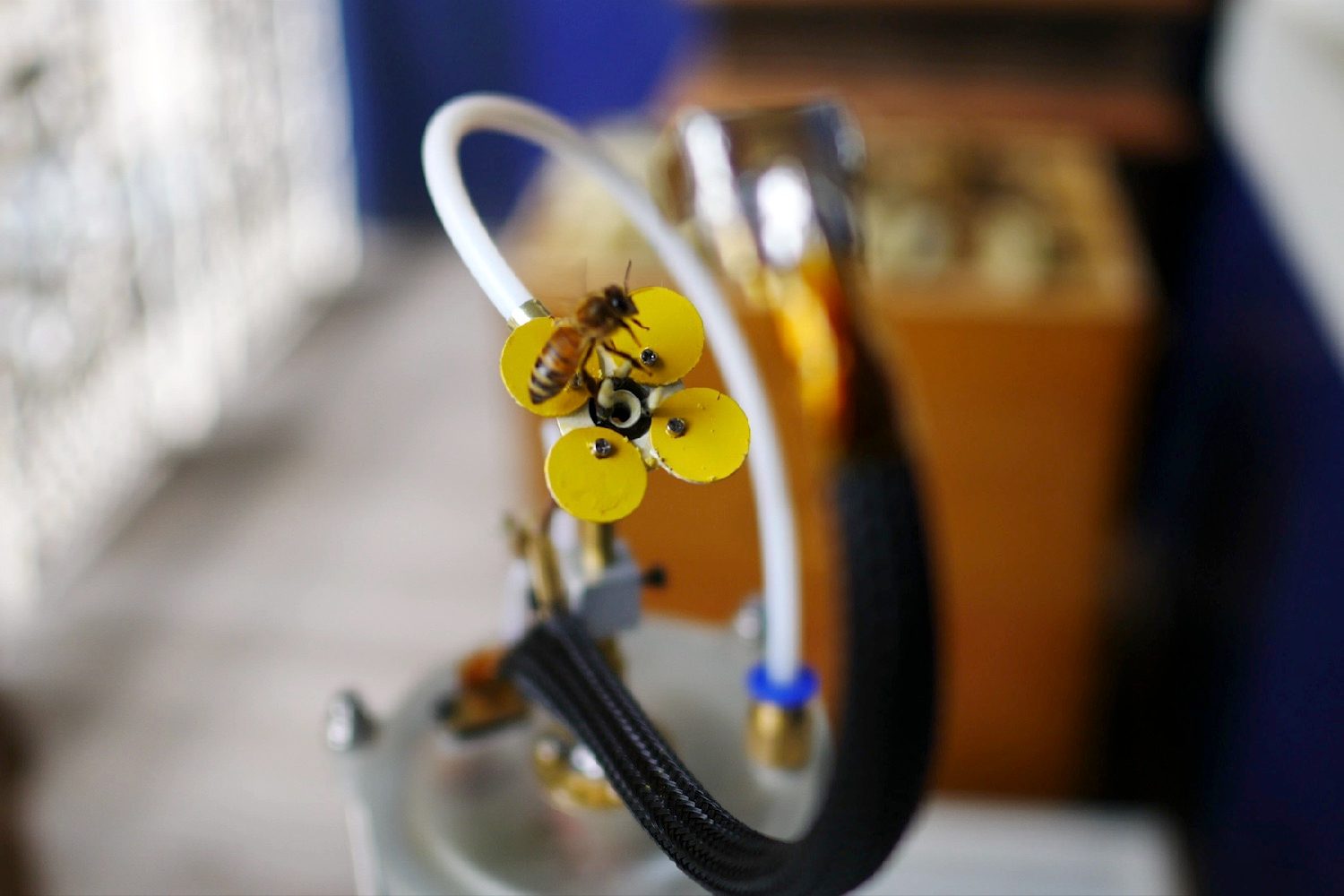 bee attracting robo flower video still 04