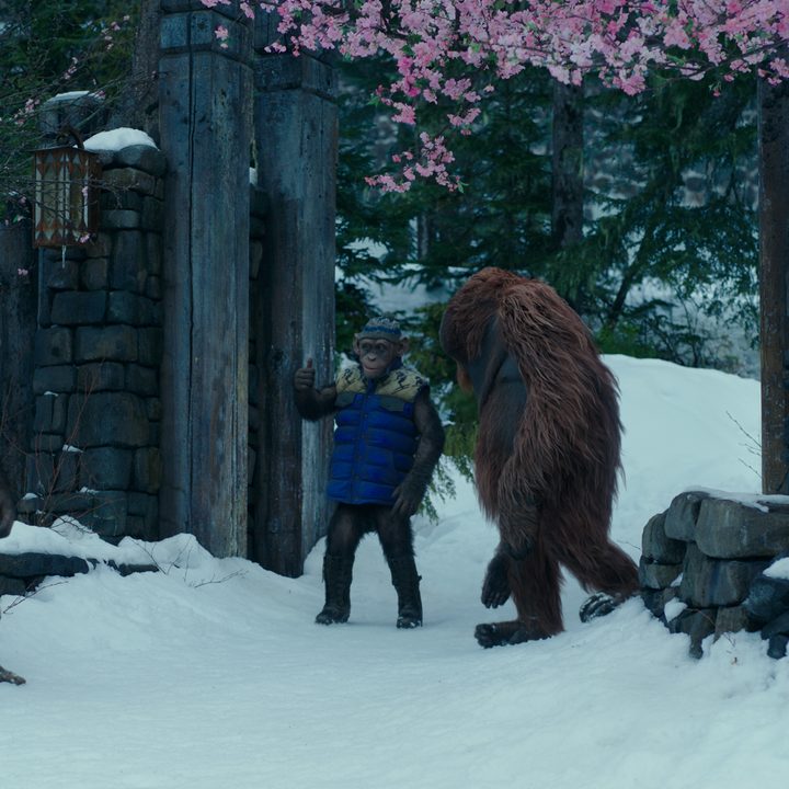 war for the planet of the apes