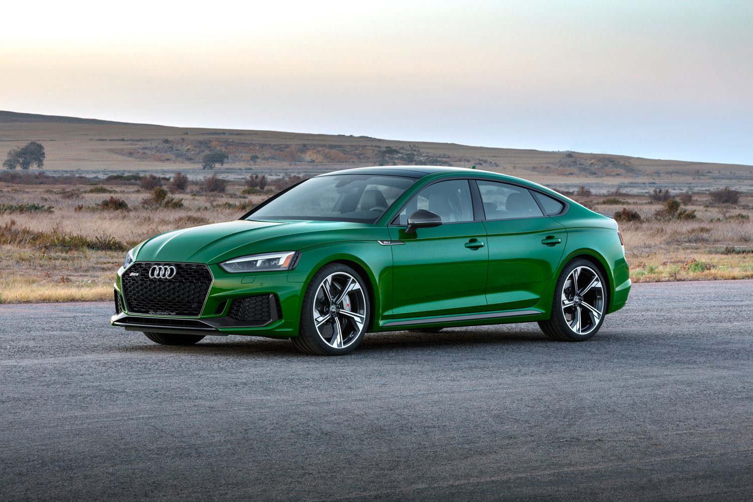 2019 Audi RS 5 Sportback